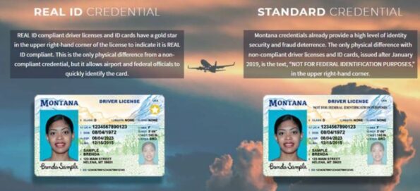 Why Buy High Resolution Real Driver License