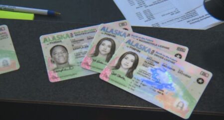 Alaska Driver's License ID Card