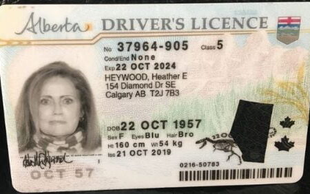 Alberta Driving License ID Card