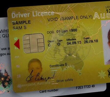 Buy Queensland Driver's License and ID Card