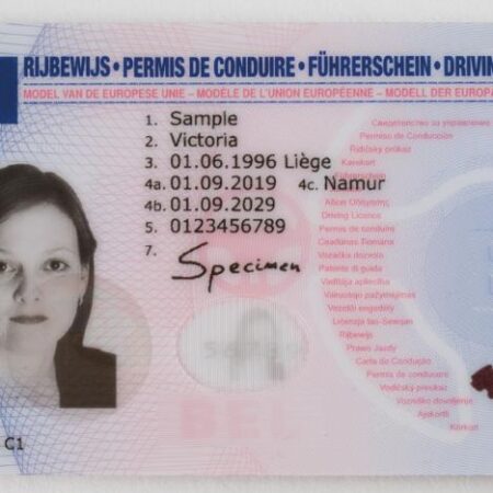 Buy Belgium Driver's License