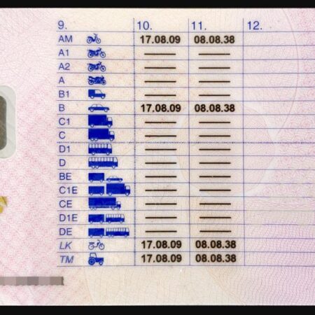 Buy Denmark Driving Licence back