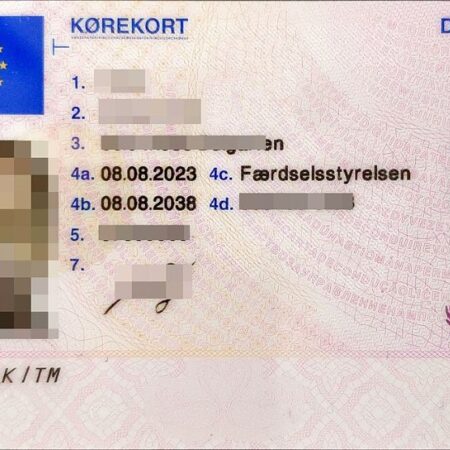 Buy Denmark Driving Licence