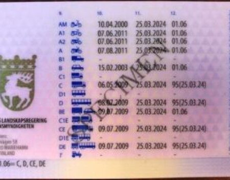 Buy Finland Driving Licence back