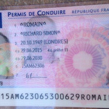 France Driving Licence back