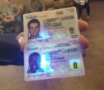 Buy North Dakota Driver’s License and ID Card