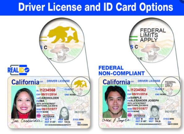 California Driver License ID Card