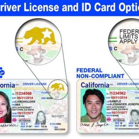 Buy California Driver's License and ID Card