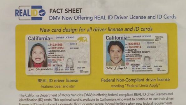 California Driver's License and ID Card