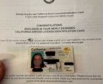 California Driver’s License and ID Card 002