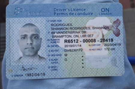 Buy Canada Driver's License