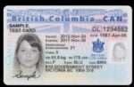 Canada ID Card 002