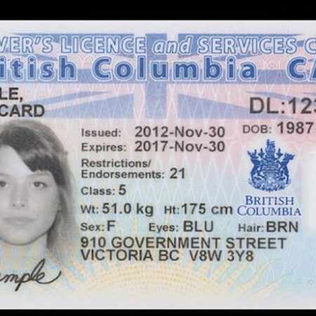 Buy Canada ID Card