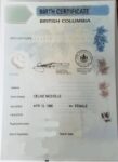 Canadian Birth Certificate