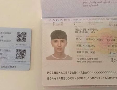 China passport online