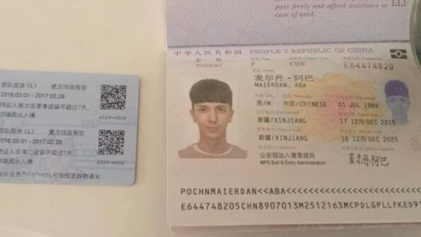 China passport online