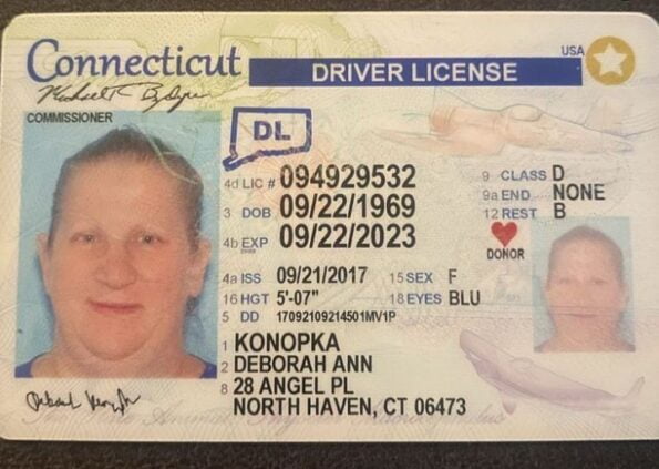 Connecticut Driver License and ID