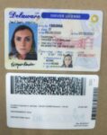 Delaware Driver’s License and ID Card