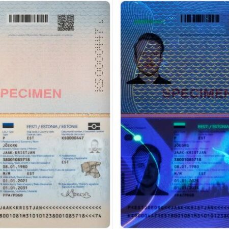 Fake Estonian Passport European