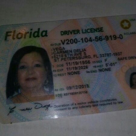 Florida Driver's License