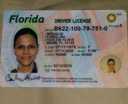 Buy Florida Driver's License and ID Card