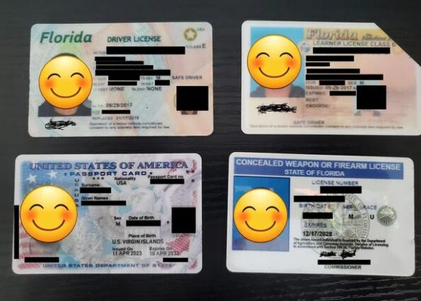 Florida id green card concealed license
