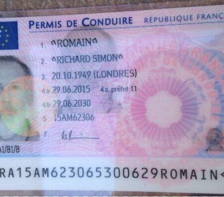 Buy France Driver's License