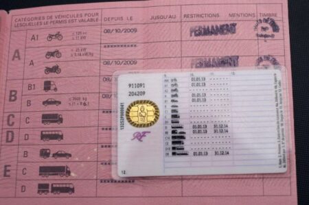 French driver's license back