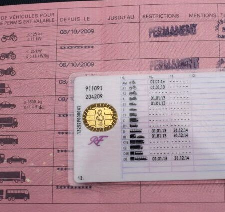 French driver's license back