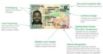 Georgia Driver’s License and ID Card