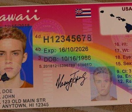 Hawaii Driver's License ID Card