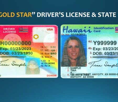 Buy Hawaii Driver's License ID Card