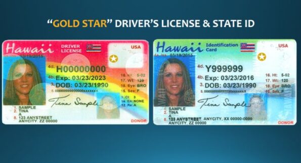 Buy Hawaii Driver's License ID Card