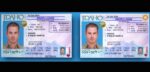 Idaho Driver’s License