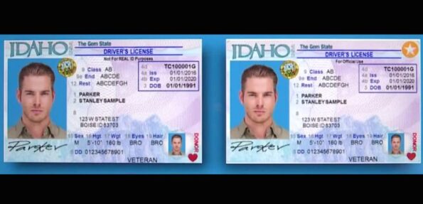 Idaho Driver's License ID Card