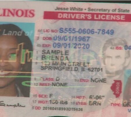 Illinois Driver's License ID Card USA