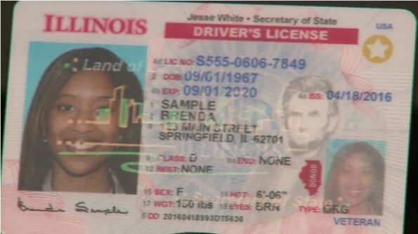 Illinois Driver's License ID Card USA