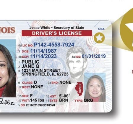 Buy Illinois Driver's License and ID Card