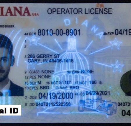 Buy Indiana Driver's License and ID Card