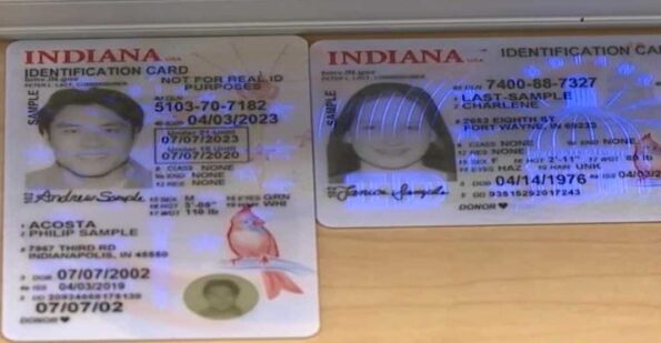 Indiana ID card
