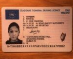 Ireland Driver’s License 003