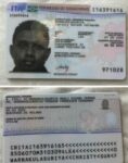Italy residence permit card 002