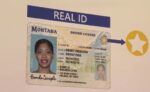 Kentucky Driver’s License and ID Card