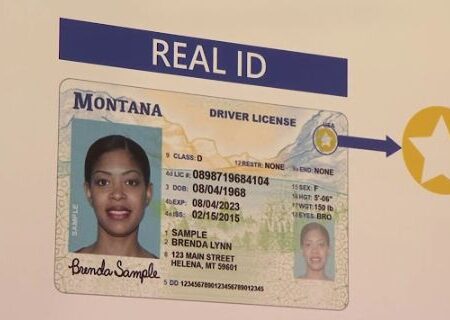 Buy Kentucky Driver's License and ID Card