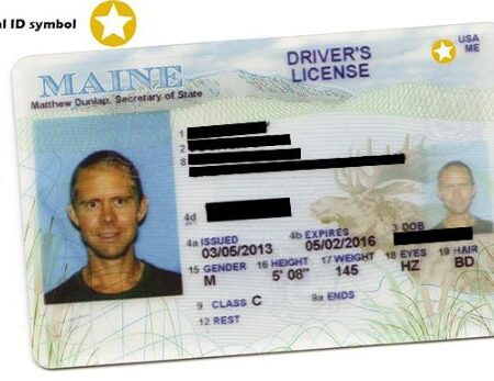 Buy Maine Driver's License and ID Card