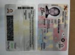 Maryland Driver’s License and ID Card USA