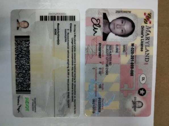 Buy Maryland Driver's License and ID Card