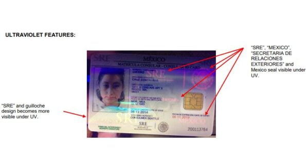 Buy Mexico ID Card