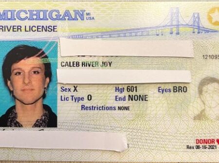 Michigan ID Card