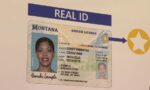 Montana Driver’s License and ID Card